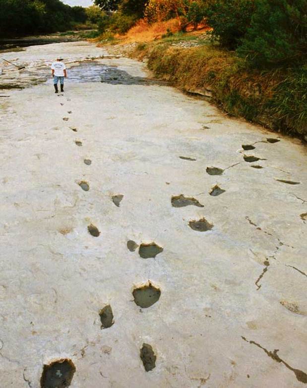 Paluxy footprints